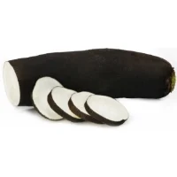 Radis Noir