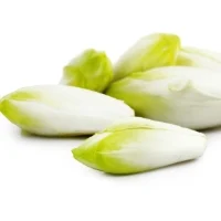 Endives Blanches Reflets De France
