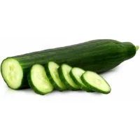Concombre Bio