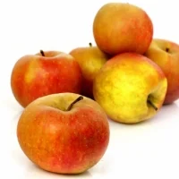 Pommes Boskoop