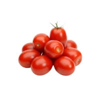 Tomate Allongee Torino