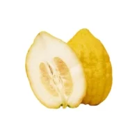 Cedrat