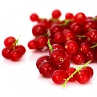 Groseilles