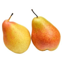 Poire