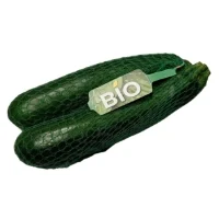 Courgettes Bio