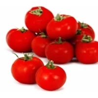 Tomates Rondes Bio