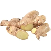 Gingembre Bio