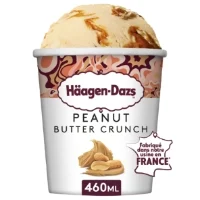 Glace En Pot Beurre De Cacahuetes Haagen Dazs
