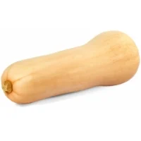 Butternut