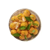 Mandarines Bio