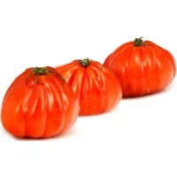 Tomates Allongees Coeur