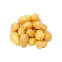 Pommes De Terre De Consommation Agroecologie Reflets De France
