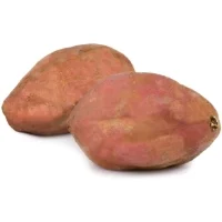 Patate Douce Bio