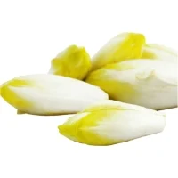 Endive
