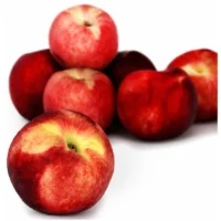 Nectarine