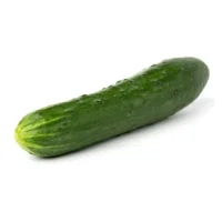 Concombre Noa Bio