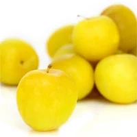Prunes Jaunes Petit Prix