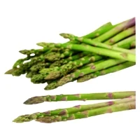 Asperges Verte Bio
