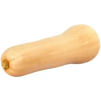 Courge Butternut Agroecologie Filiere Qualite Carrefour
