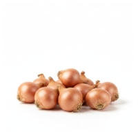 Oignons Sauciers