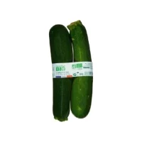 Courgettes Bio