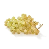 Raisin Chasselas Bio