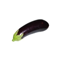 Aubergines Bio