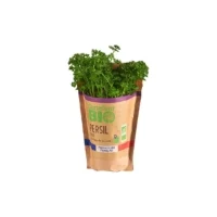 Persil Frise En Pot Bio