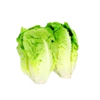 Salade Sucrine