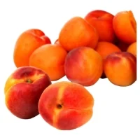 Abricots Agroecologie Reflets De France