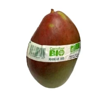 Mangue Decollee Bio