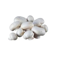 Champignons Blancs