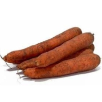 Carottes Non Lavees Vrac