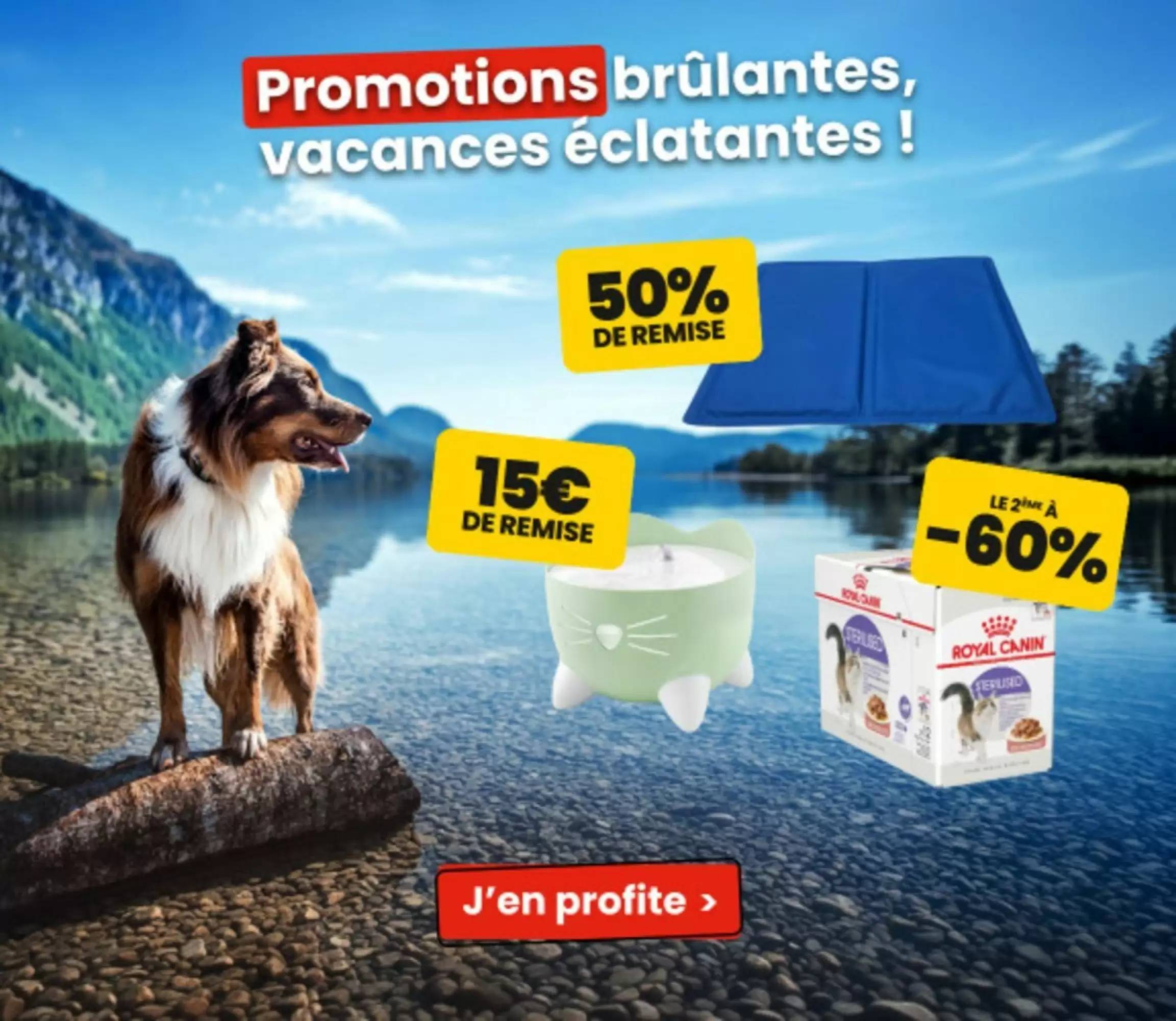 Catalogue Animalis du 1 au 21 juillet 2026 - Couverture