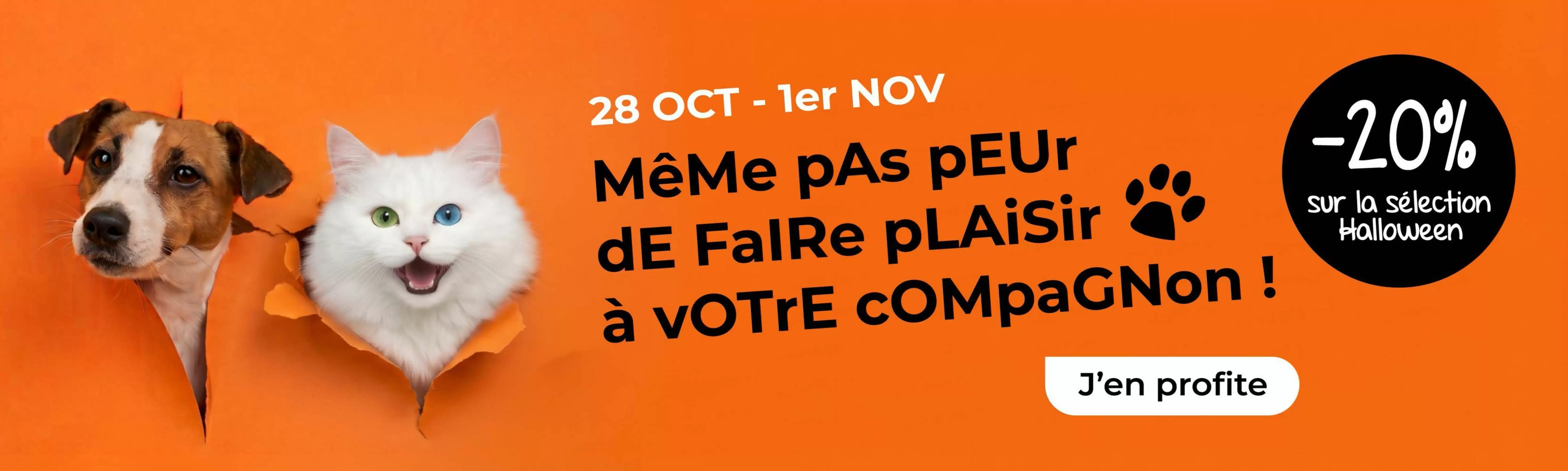 Catalogue Terranimo du 28 octobre au 1 novembre 2026 - Couverture