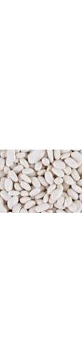 Haricots Blancs Bio en Vrac - pour 100g - Bio Village