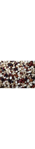 Quinoa Tricolore Bio en Vrac - pour 100g - Bio Village