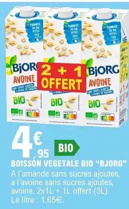 BOISSON VÉGÉTALE BIO “BJORG”