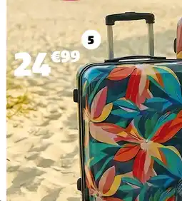 Valise cabine