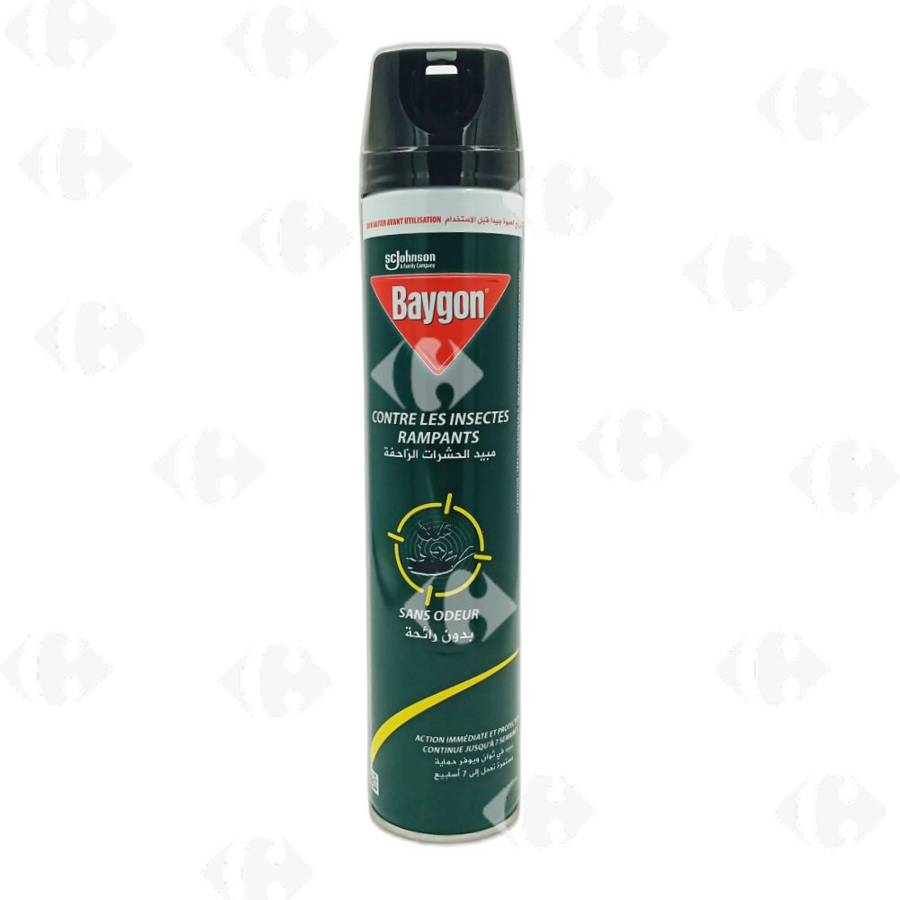 baygon sans odeur 450ml