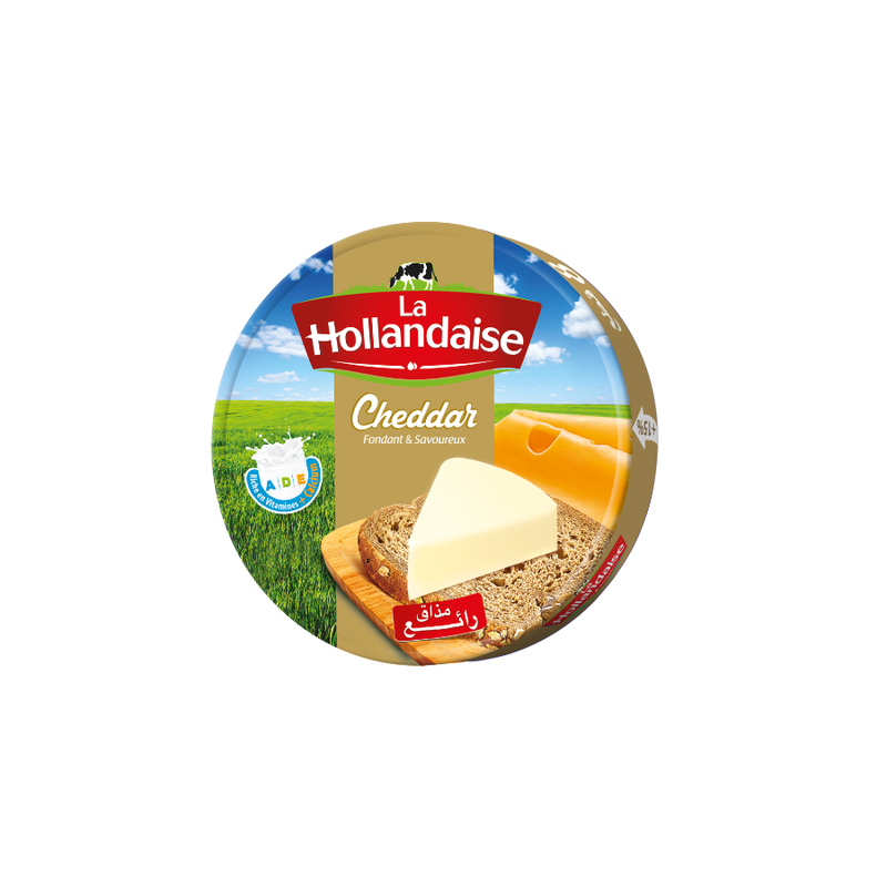 Fromage fondu cheddar 8 méga portions - LA HOLLANDAISE