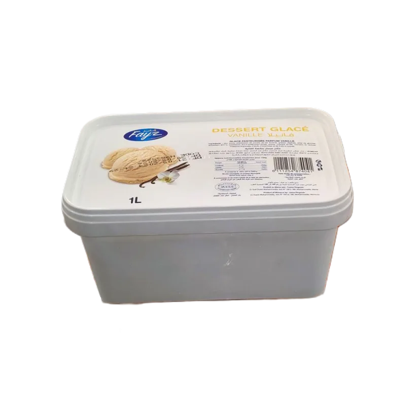 Bac de crème glacée Fayz vanille 1L