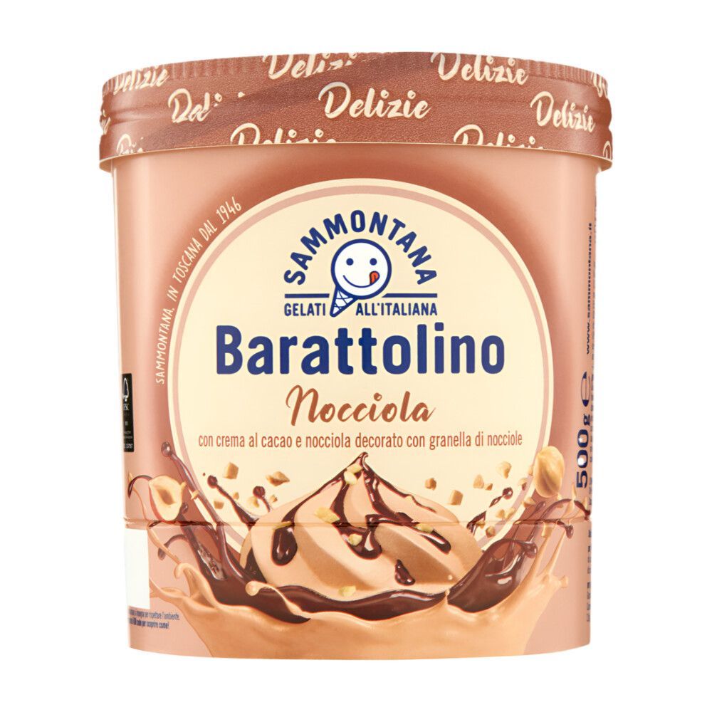 Sammontana pot de glace Nocciola Barattolino 800ml