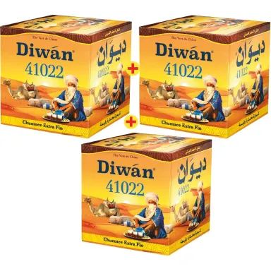 Thé vert en filaments 41022 200g + boîte de 100g - DIWAN