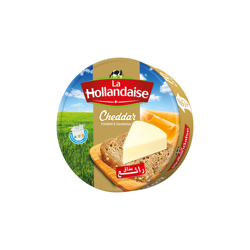 Fromage fondu cheddar 16 méga portions - LA HOLLANDAISE