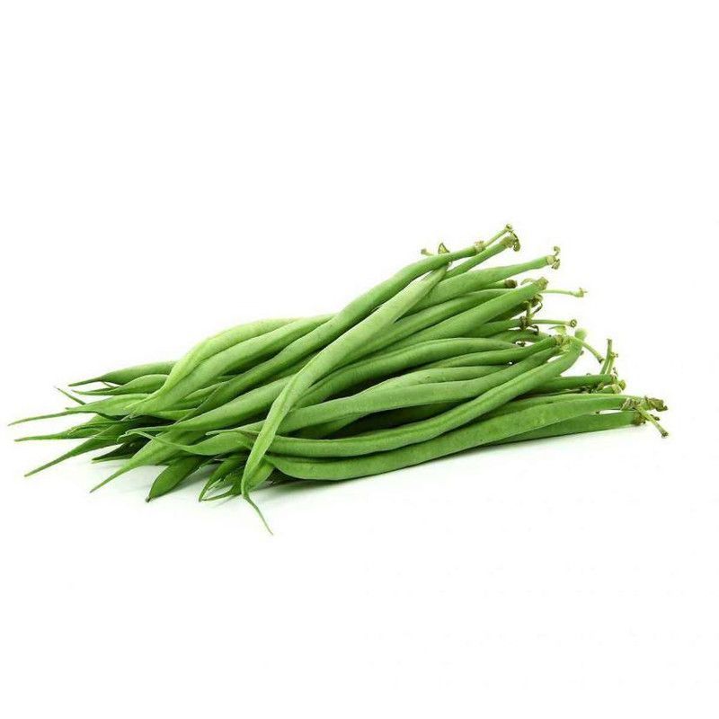 Haricots vert 500g - FILIERE M