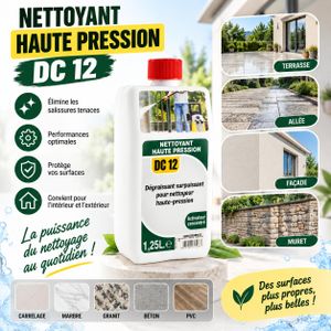 Shampooing Dégraissant Extérieur Flacon 1.25 Litres Solution Active Nettoyeur Pression Lavage Dalle Pierre Pavé Mur Brique Trottoir Cour Garage Jardin Outillage