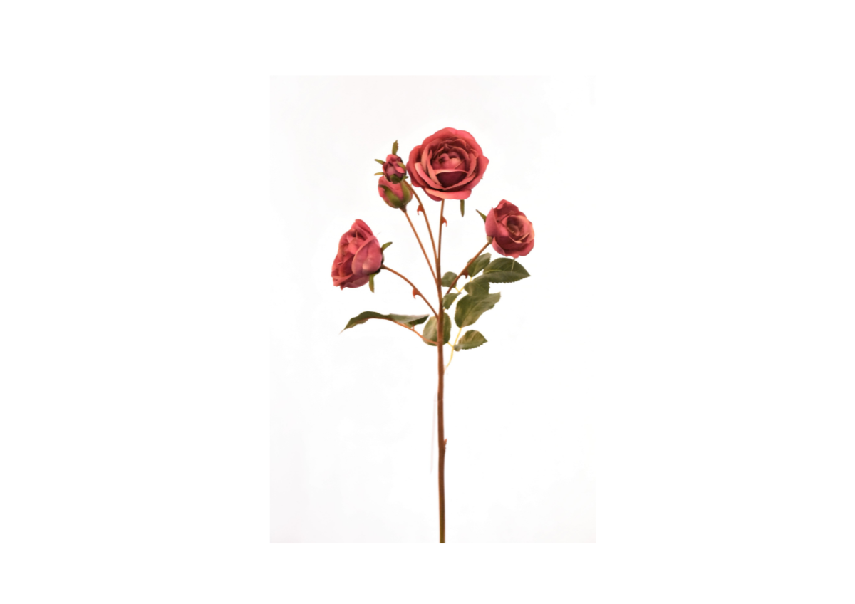 Rose 57Cm - Rose Foncé