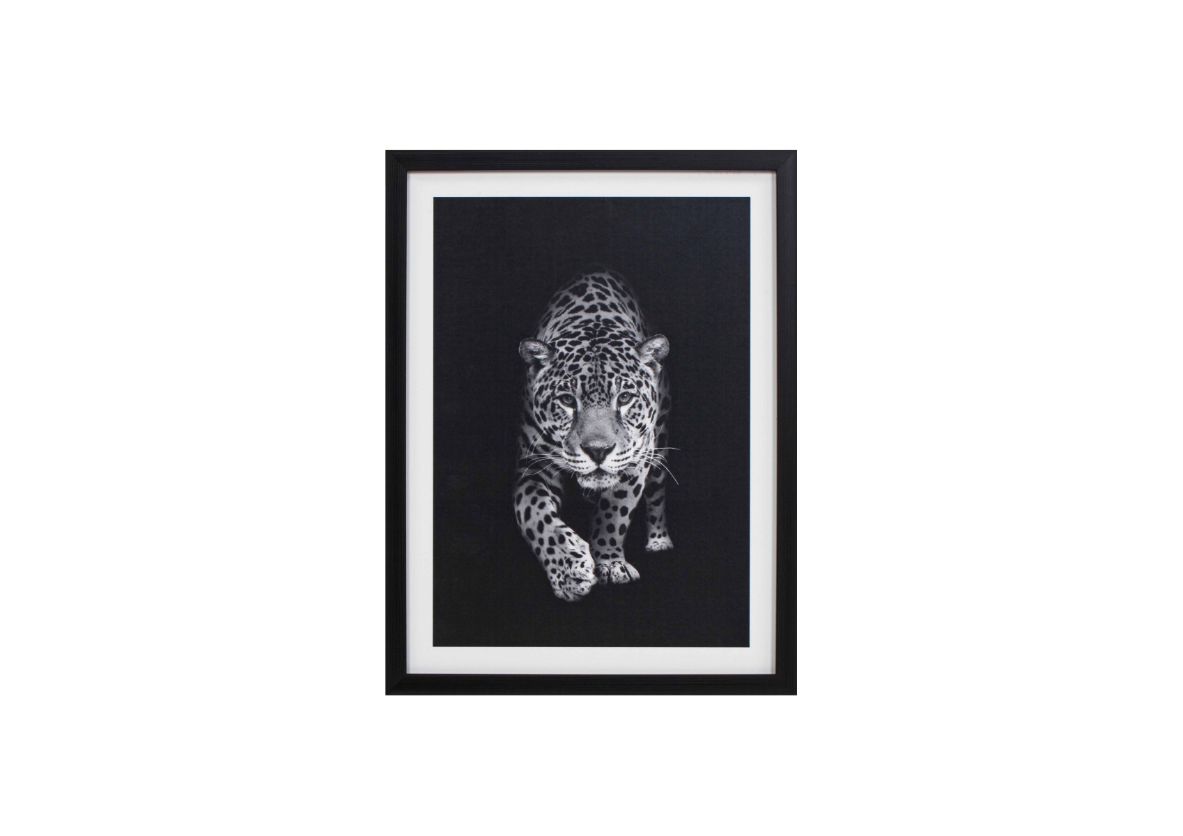 Tableau Le Tigre Avec Cadre - Blanc / Noir