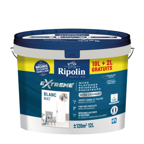 Peinture Extrême - Ripolin